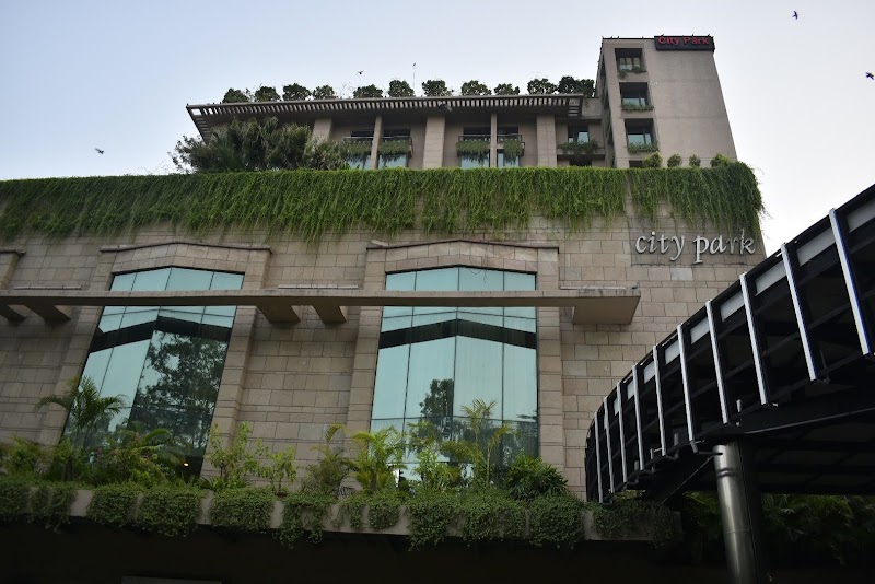 Green Park / Delhi Place mentioned in saved reels