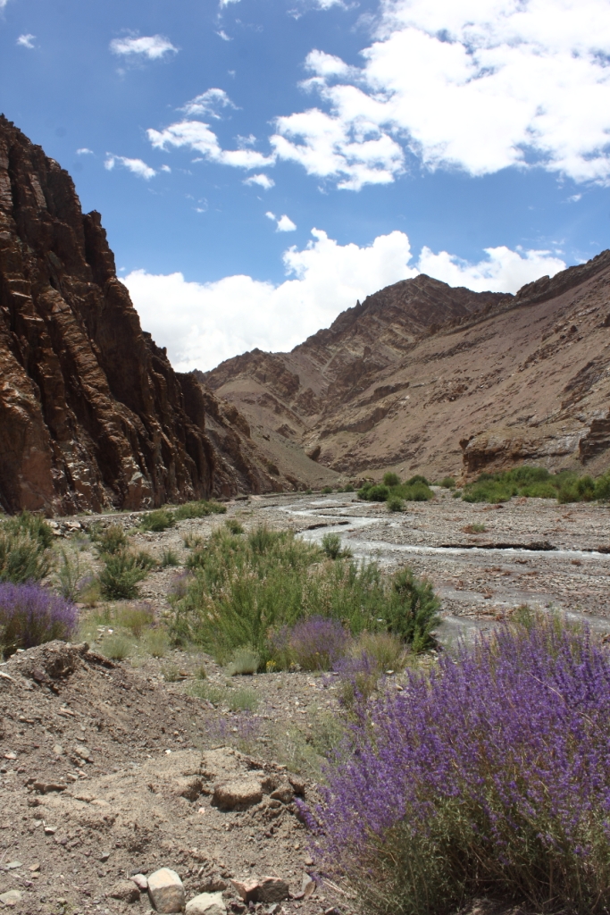 Hemis National Park / Ladakh Place mentioned in saved reels