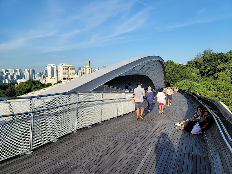 Henderson Waves Bridge