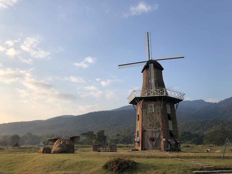 Huai Tueng Thao Sheep Farm / Chiang Mai Place mentioned in saved reels