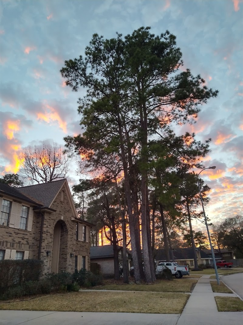 Humble / Tx Area Place mentioned in saved reels