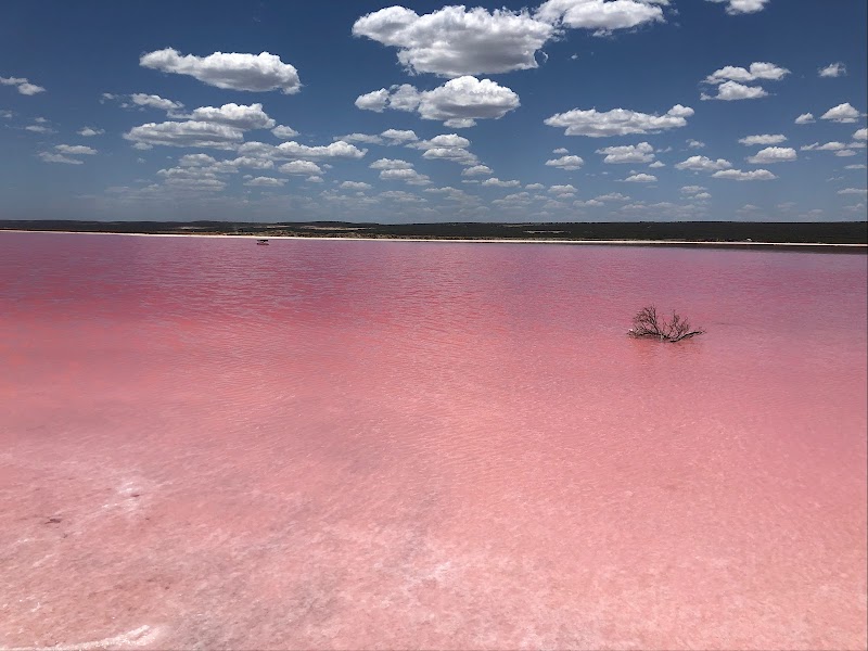 Hutt Lagoon / Australia Place mentioned in saved reels
