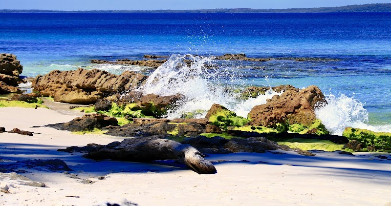 Hyams Beach / Jervis Bay Place mentioned in saved reels