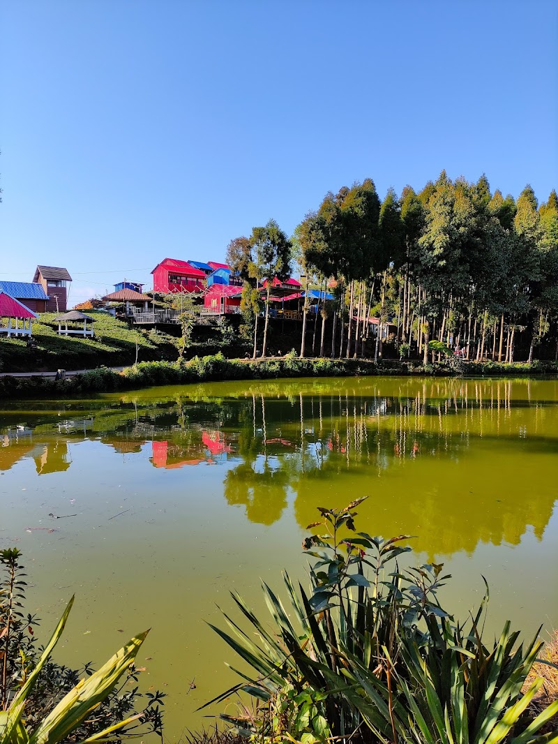 Ilam / Eastern Nepal Place mentioned in saved reels