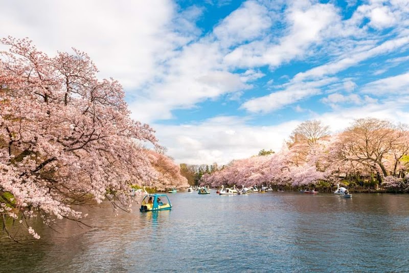 Inokashira Park / Tokyo Place mentioned in saved reels