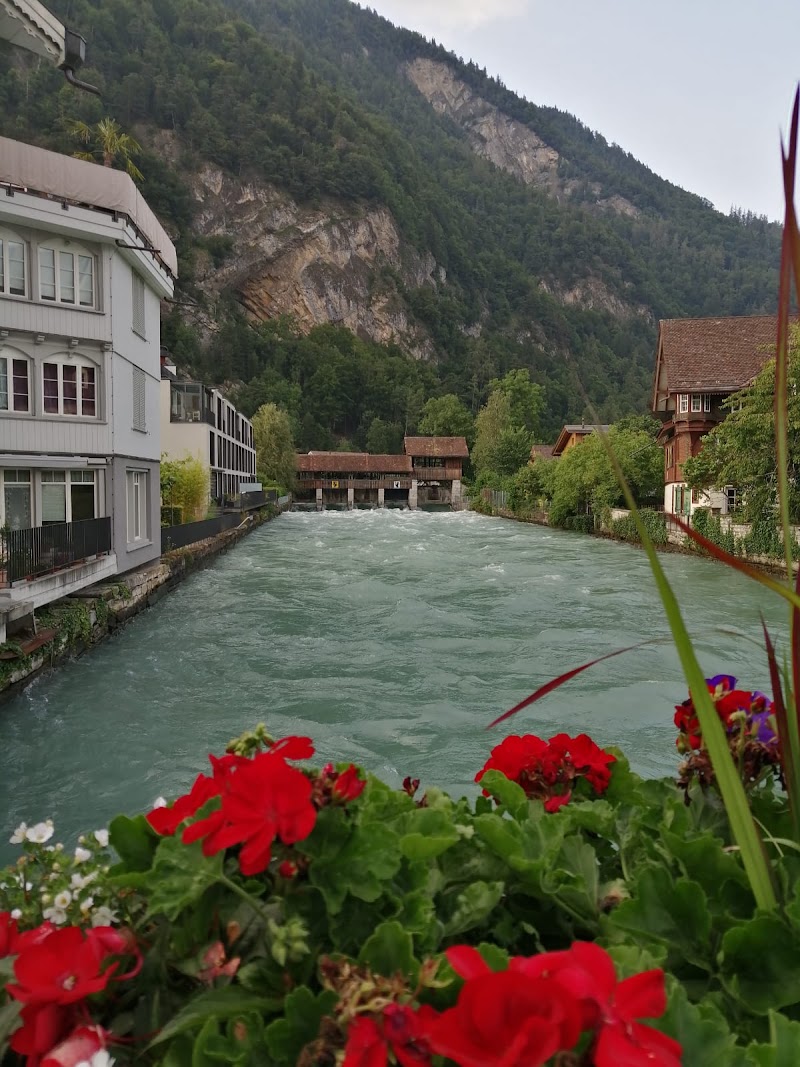 Interlaken / Suiza Place mentioned in saved reels