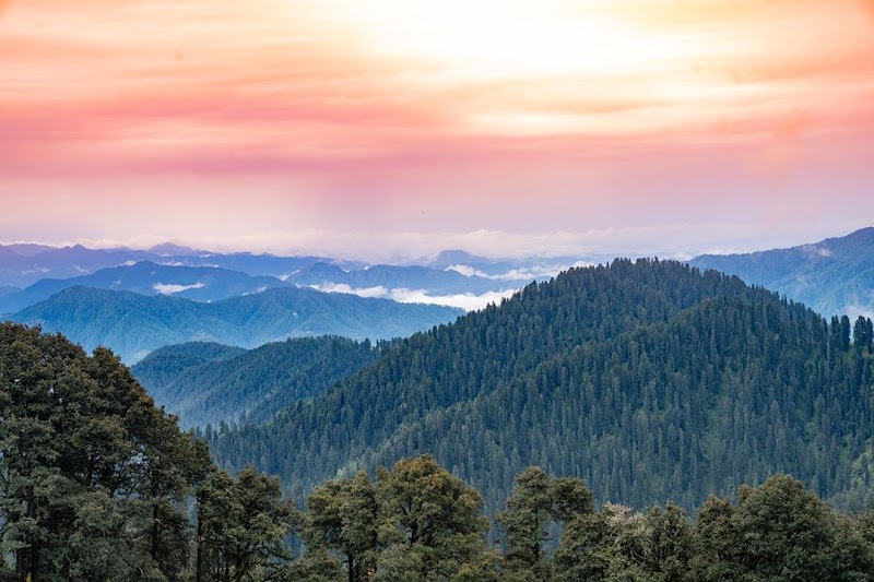 Jalori Pass / Himachal