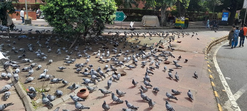 Janpath / Connaught Place Place mentioned in saved reels