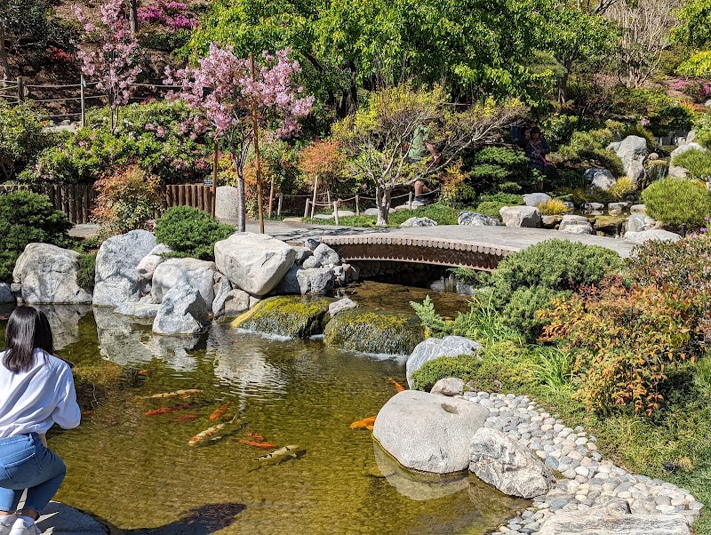 Japanese Friendship Garden / San Diego