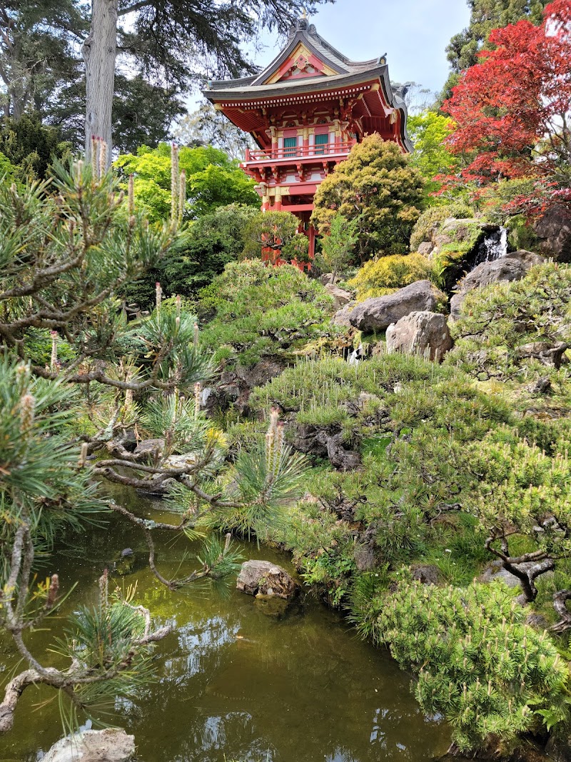 Japanese Tea Garden / San Francisco