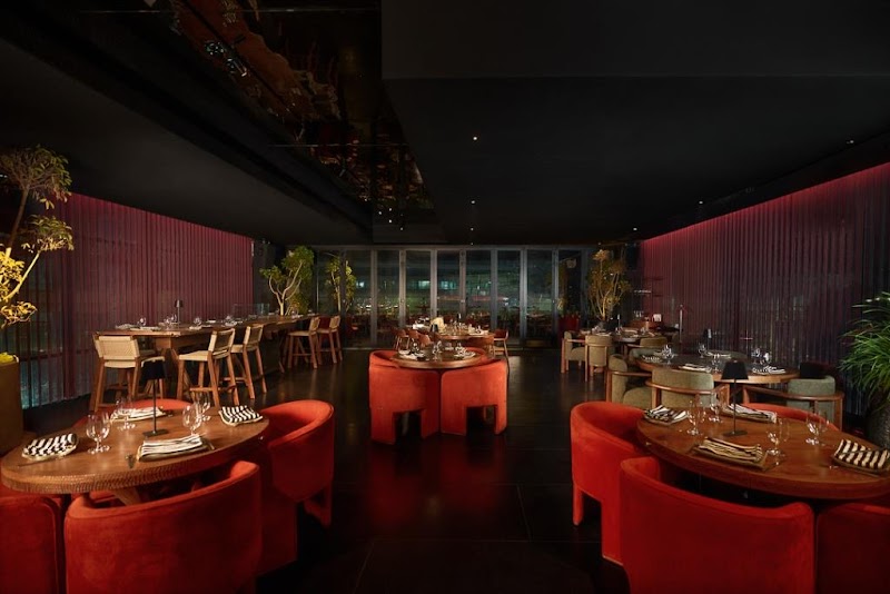 Japonico / Golf Course Road Gurgaon