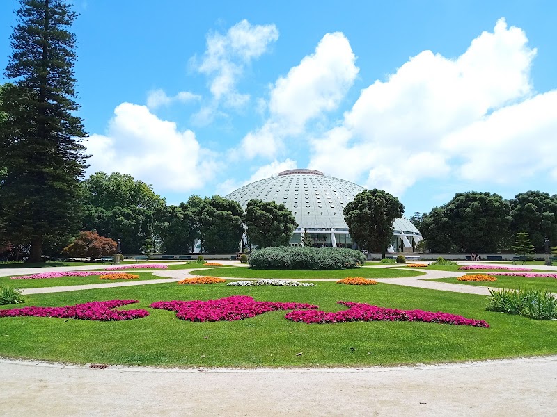 Jardins do Palácio de Cristal / Porto Place mentioned in saved reels