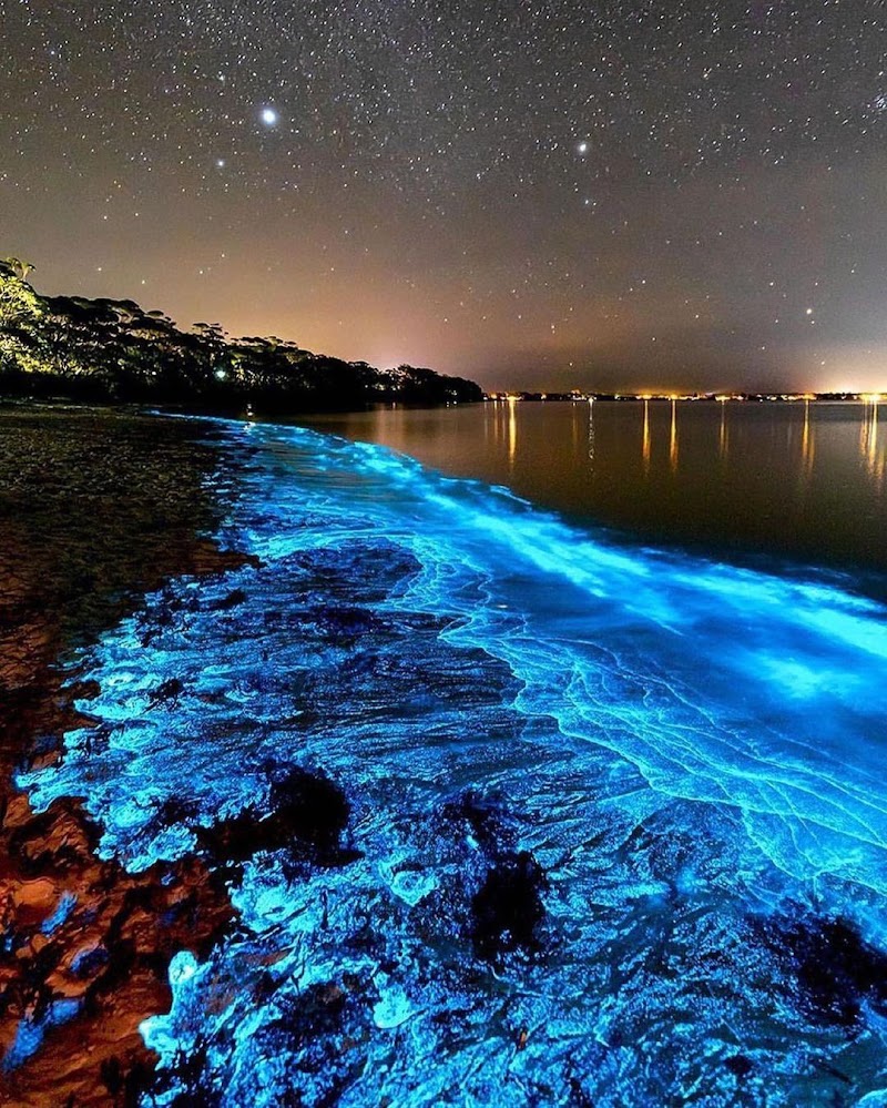 Jervis Bay / NSW Place mentioned in saved reels