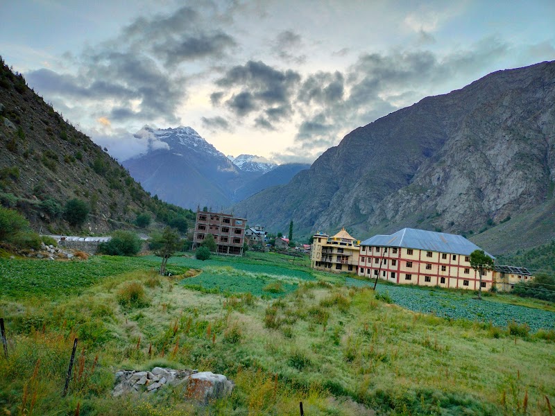 Jispa / Himachal Pradesh