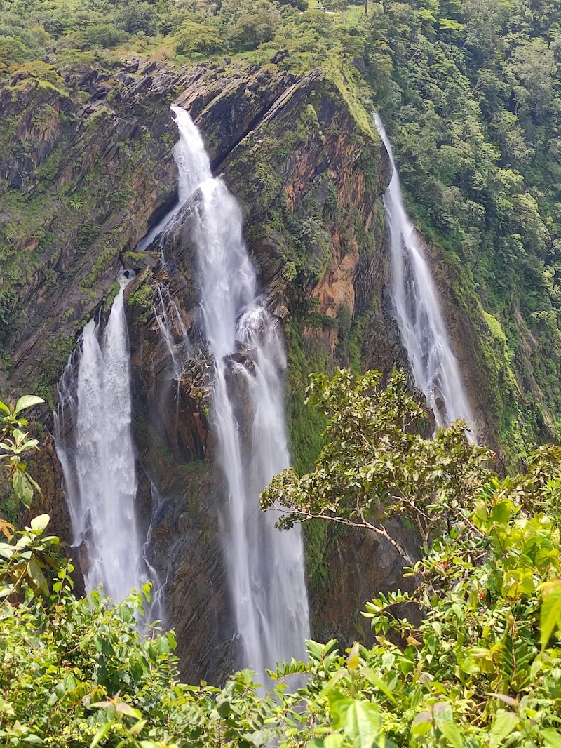 Jog Falls / Karnataka Place mentioned in saved reels
