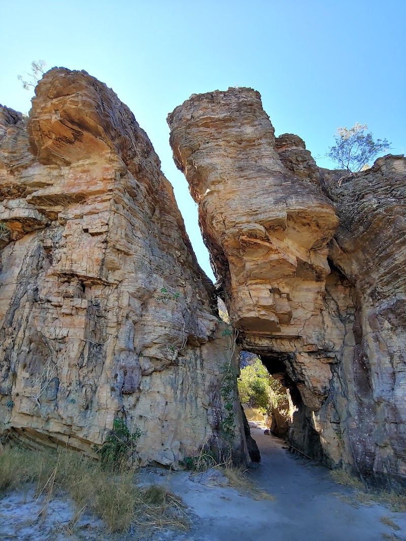 Kakadu / Australia Place mentioned in saved reels