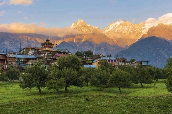 Kalpa / Himachal Pradesh