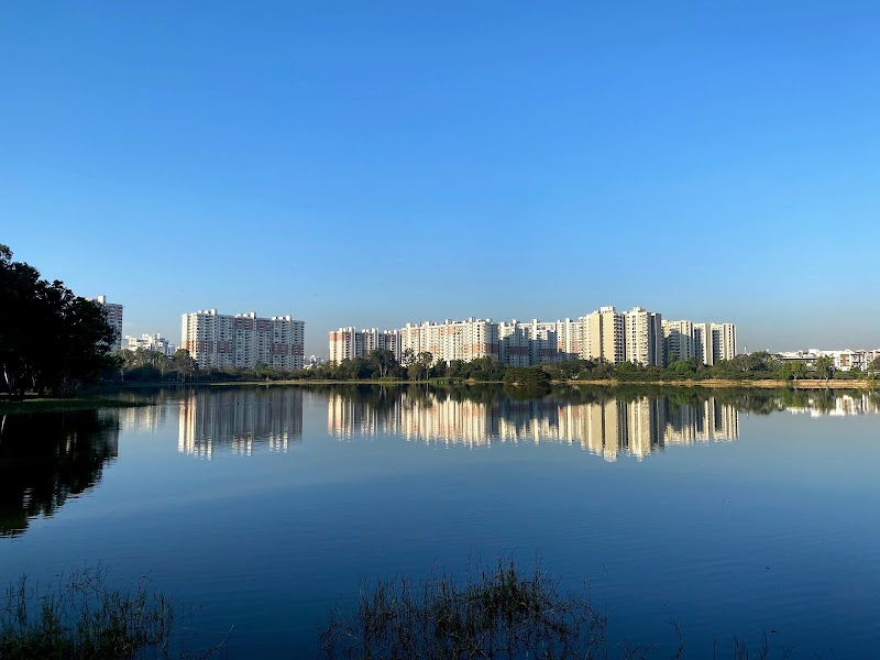 Kasavanahalli Lake / Bengaluru Place mentioned in saved reels