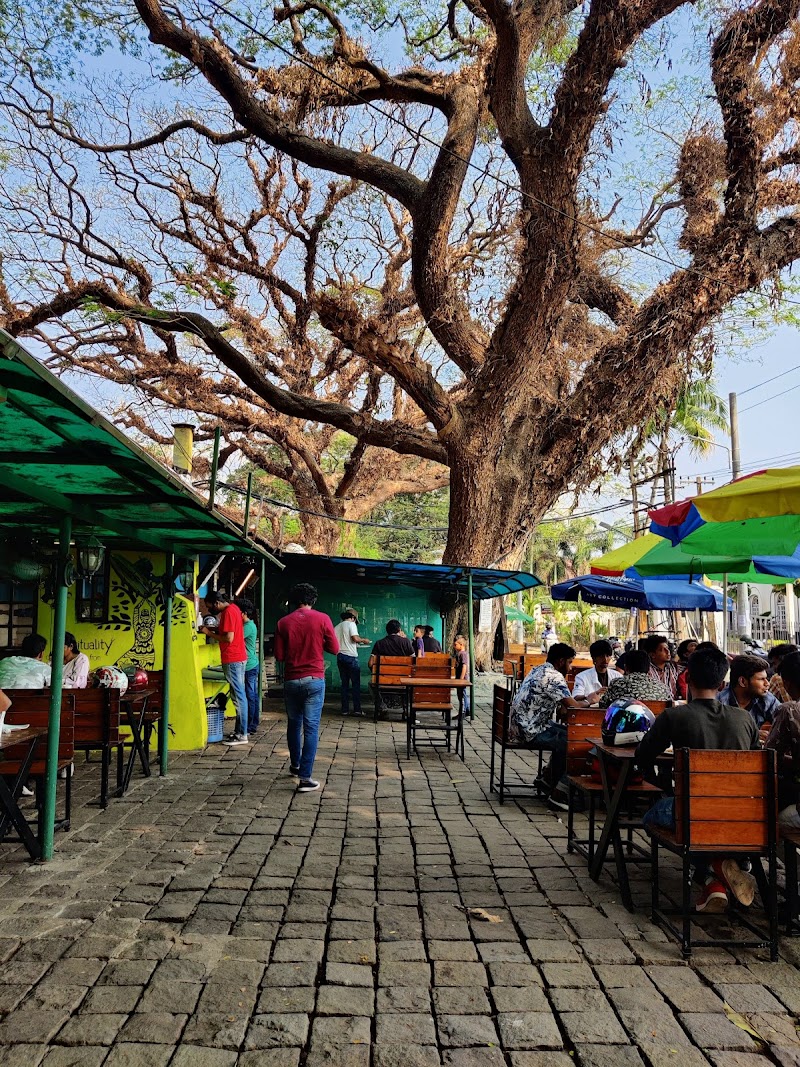 Kashi Art Cafe / Kochi