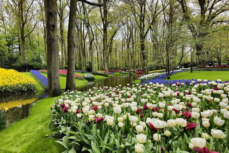 Keukenhof / Netherlands Place mentioned in saved reels