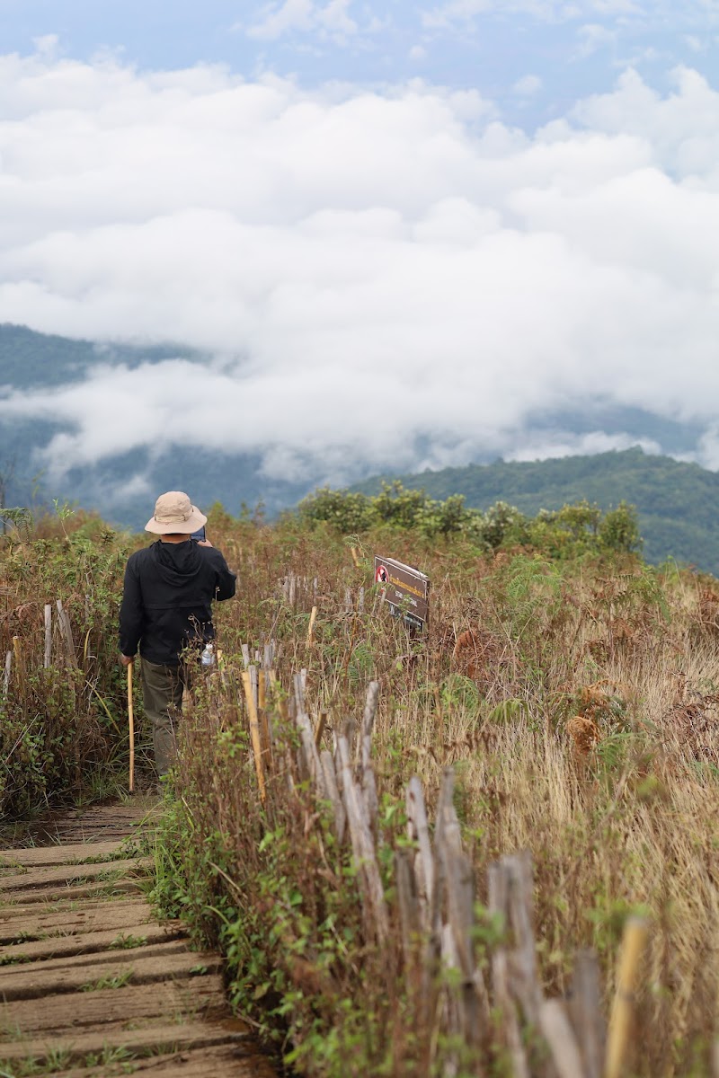 Kew Mae Pan Nature Trail / Doi Inthanon Place mentioned in saved reels