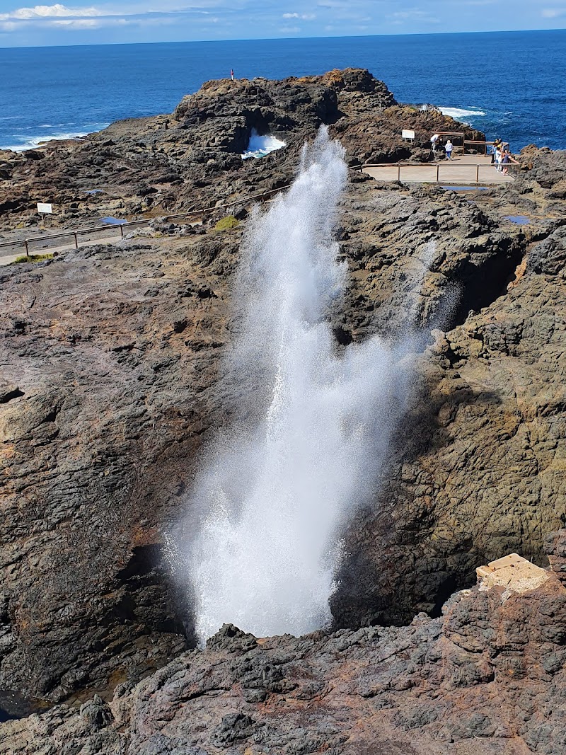 Kiama Blowhole / Kiama Place mentioned in saved reels