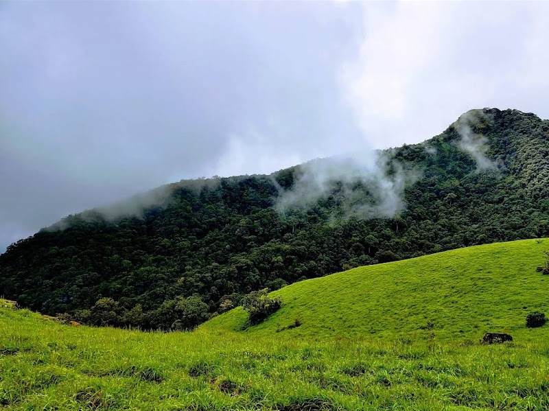 Kodachadri / Karnataka