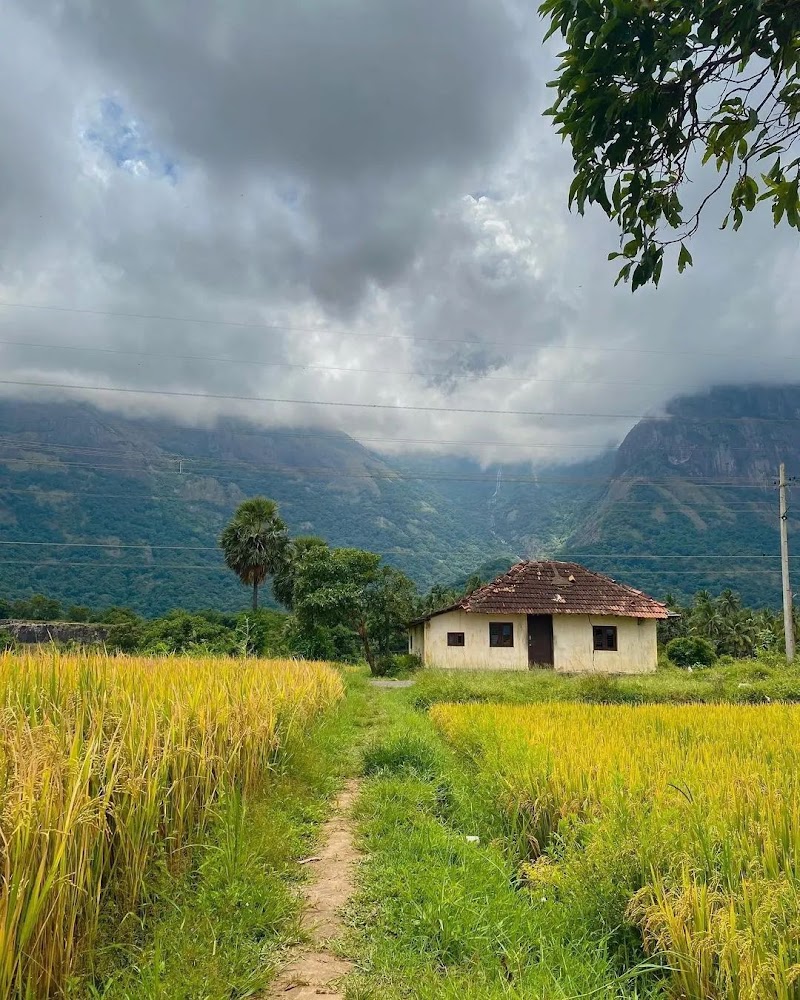Kollengode / Palakkad