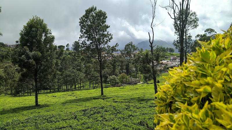 Kotagiri / Tamil Nadu