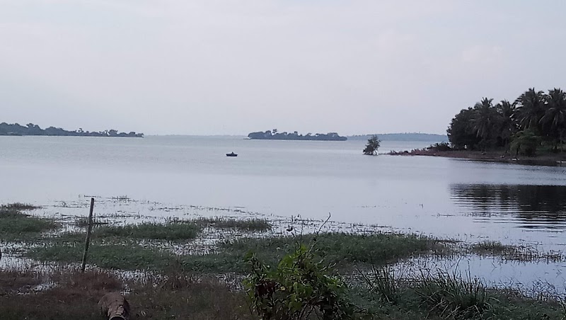 KRS backwaters / Mysuru