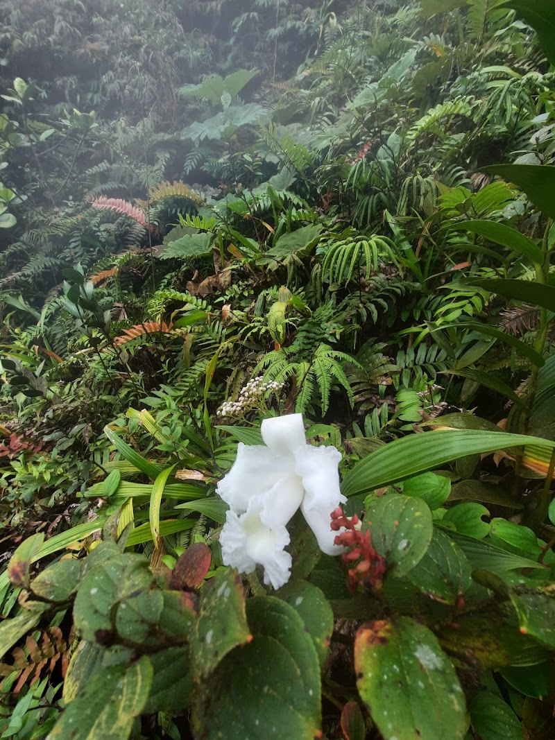 La Fortuna / Costa Rica Place mentioned in saved reels