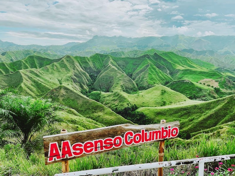 La Palmera / Sultan Kudarat