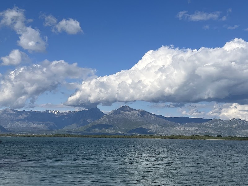 Lake Skadar / Montenegro