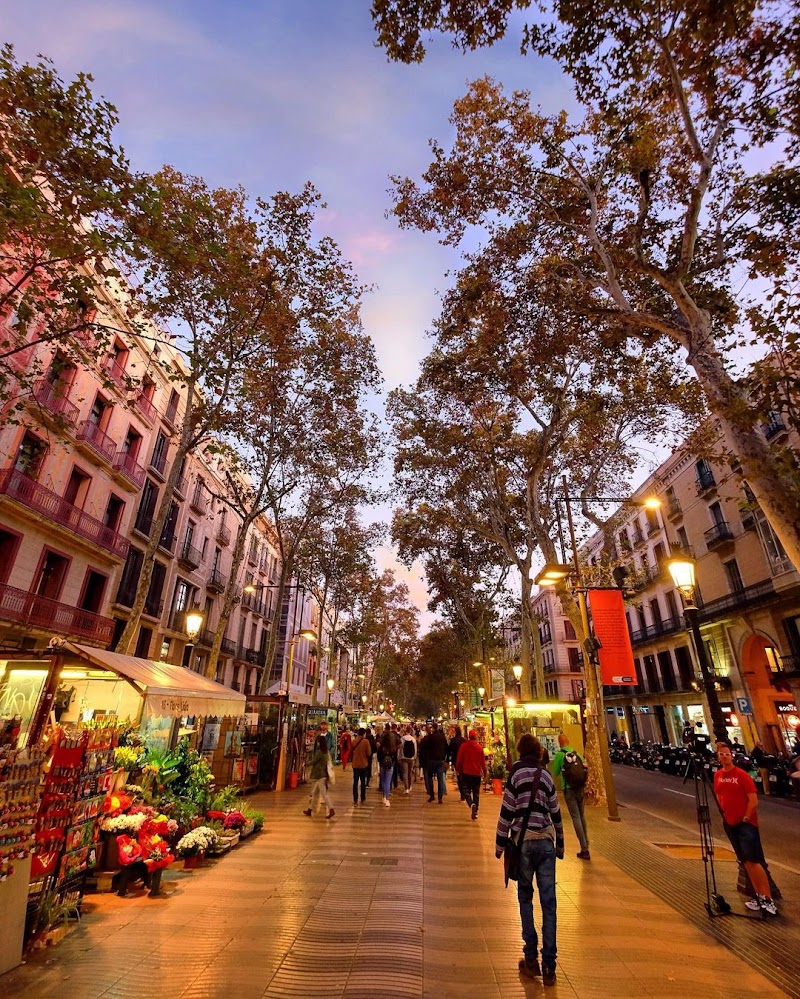 Las Ramblas / Barcelona Place mentioned in saved reels