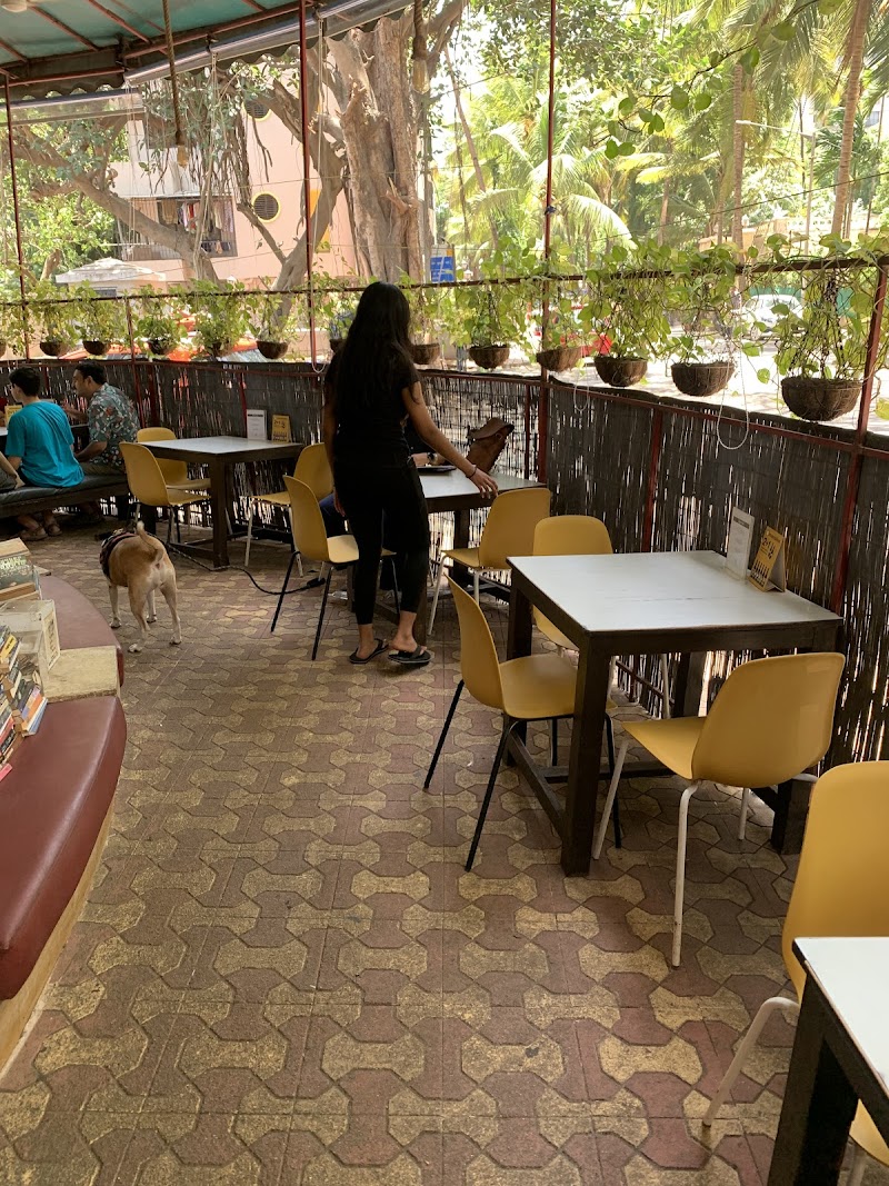 Leaping Windows / Versova