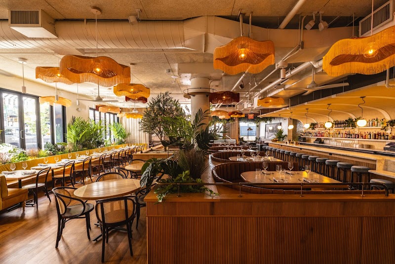 Leonetta / NYC Place mentioned in saved reels