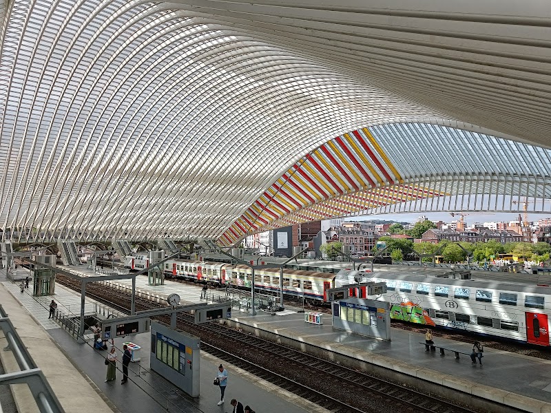 Liège-Guillemins Station / Belgium