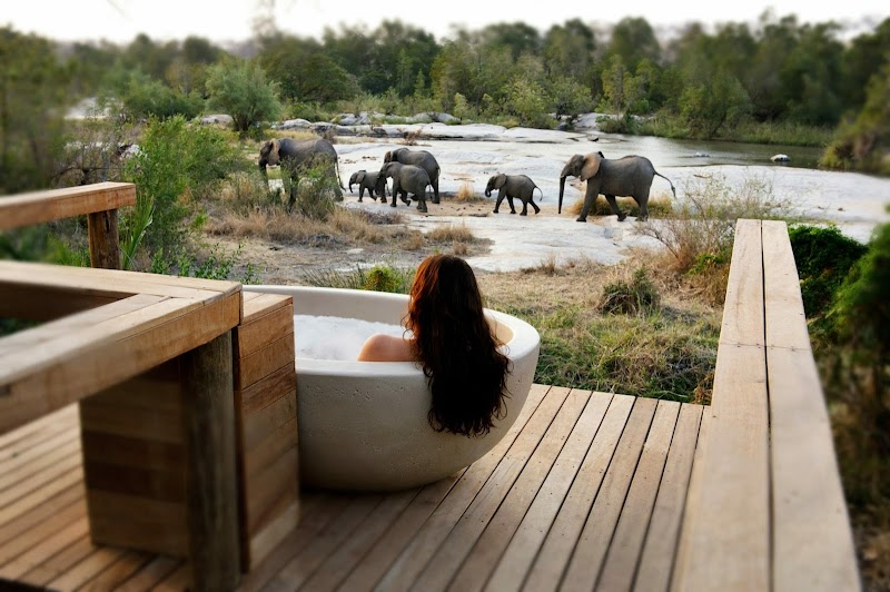 Londolozi / Sabi Sands Place mentioned in saved reels
