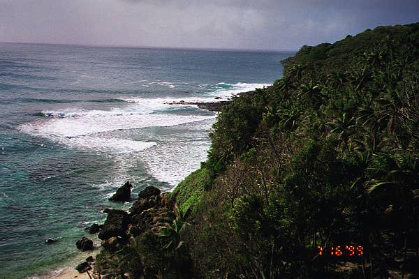 Lord Howe Island / Australia Place mentioned in saved reels