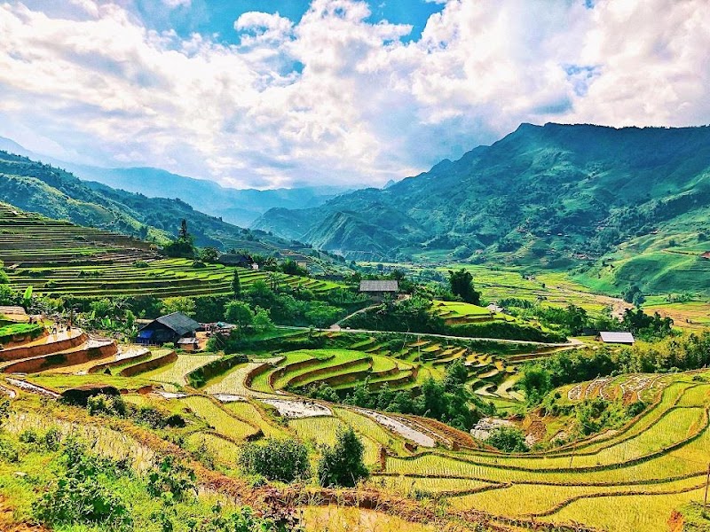 Mường Hoa Valley / Sa Pa