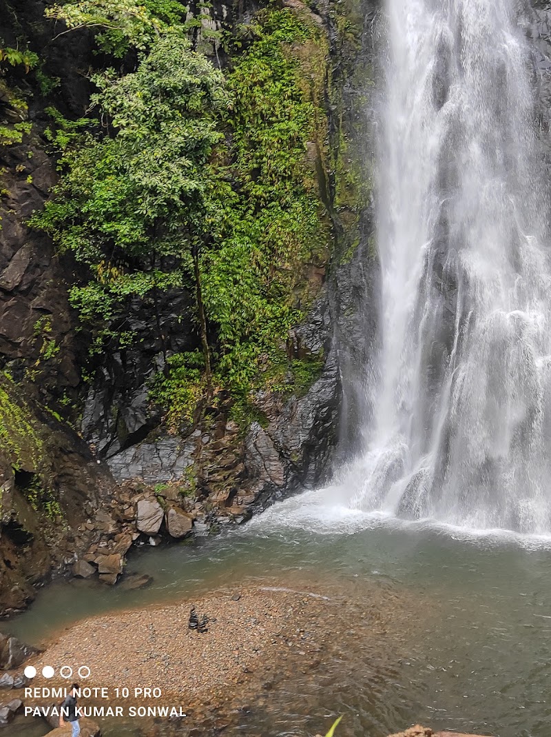 Mainapi Waterfall / Goa Place mentioned in saved reels