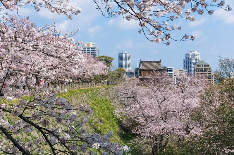 Maizuru Park / Fukuoka Place mentioned in saved reels