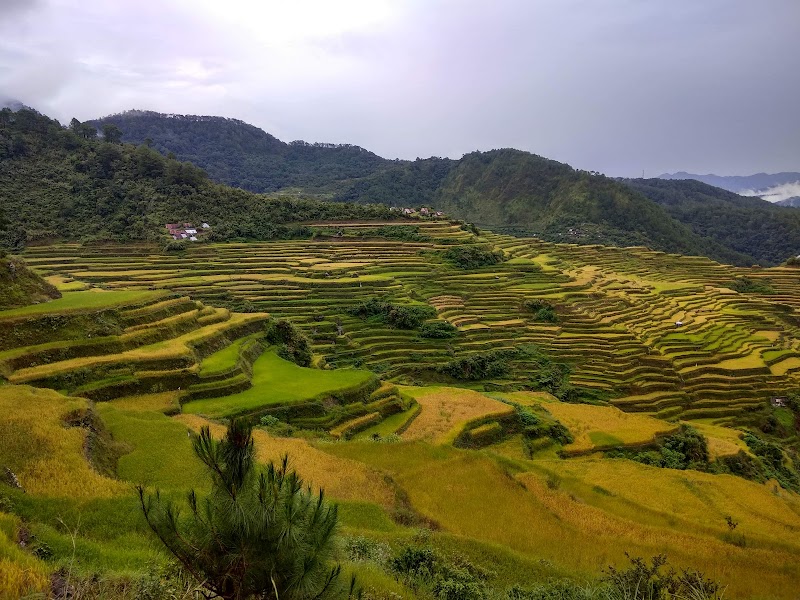 Maligcong / Rice Terraces Place mentioned in saved reels