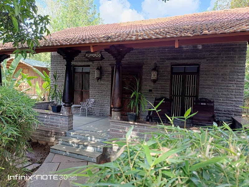 Mango Mist Resort / Bangalore Place mentioned in saved reels