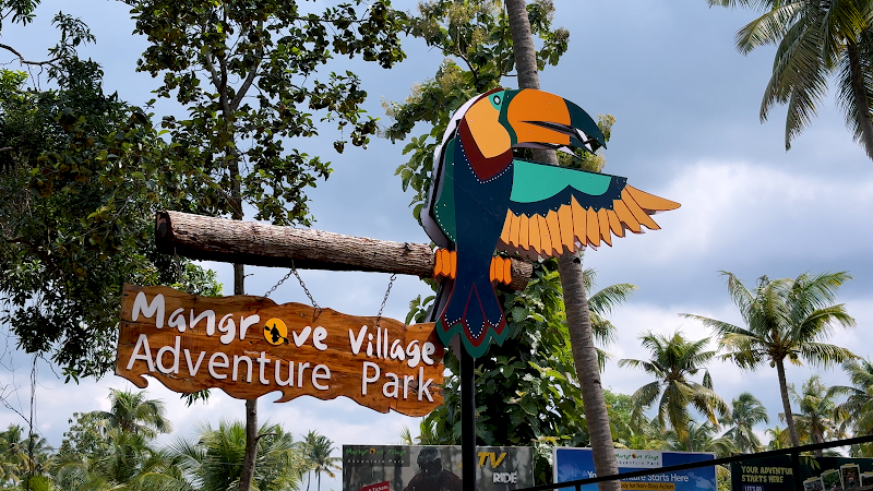 Mangrove Forest / Varkala Place mentioned in saved reels
