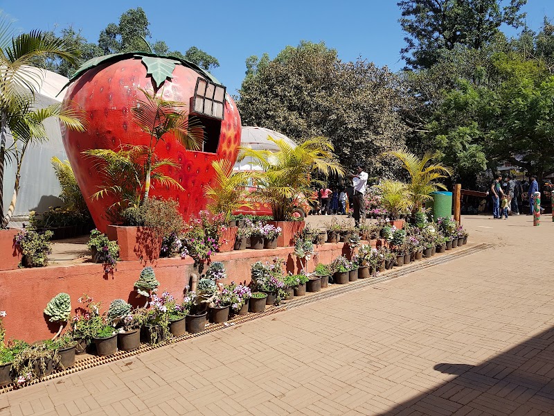 Mapro Garden / Mahabaleshwar Place mentioned in saved reels