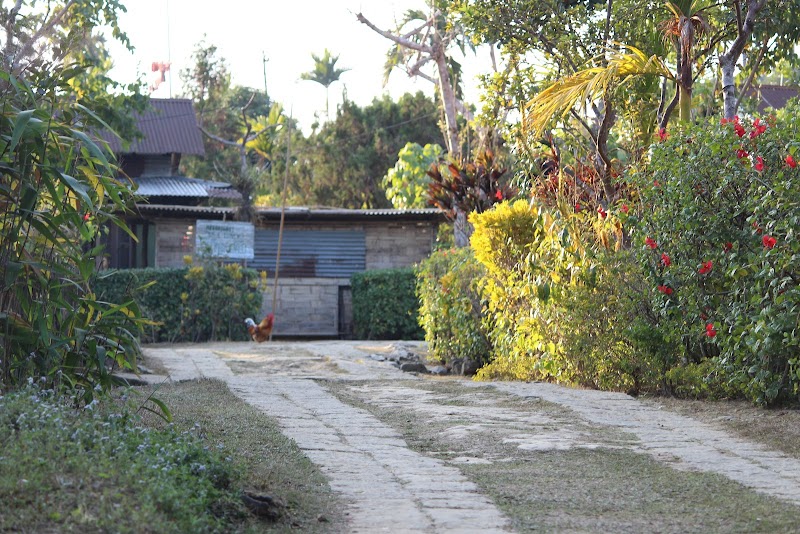 Mawlynnong Place mentioned in saved reels