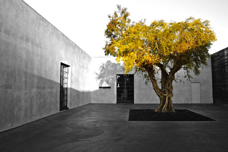 Maxfield / Los Angeles Place mentioned in saved reels