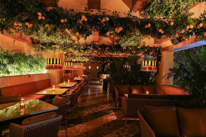 Mestizo / Vasant Vihar Place mentioned in saved reels