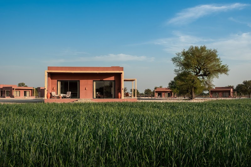 Mharo Khet / Jodhpur Place mentioned in saved reels